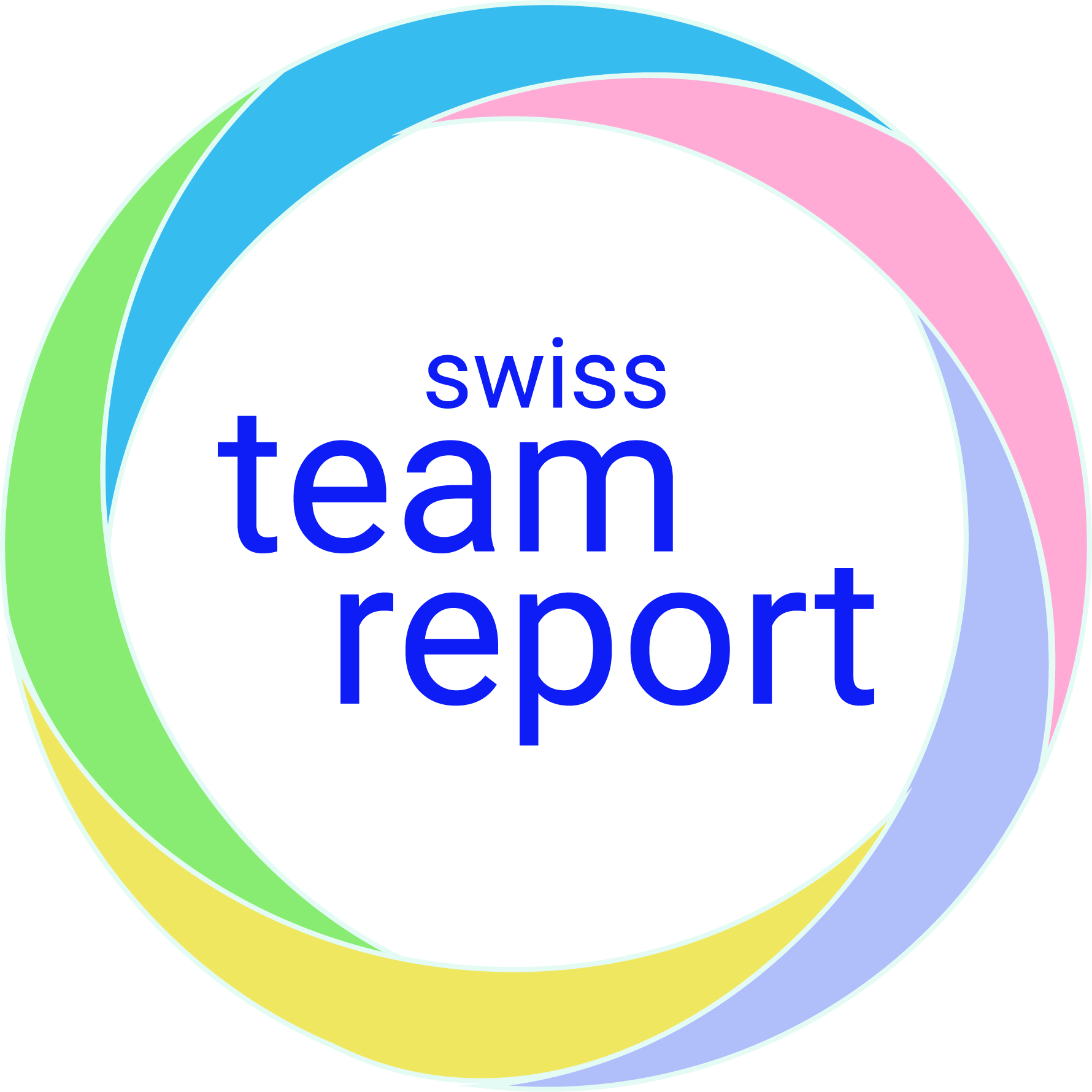 Download swiss team report