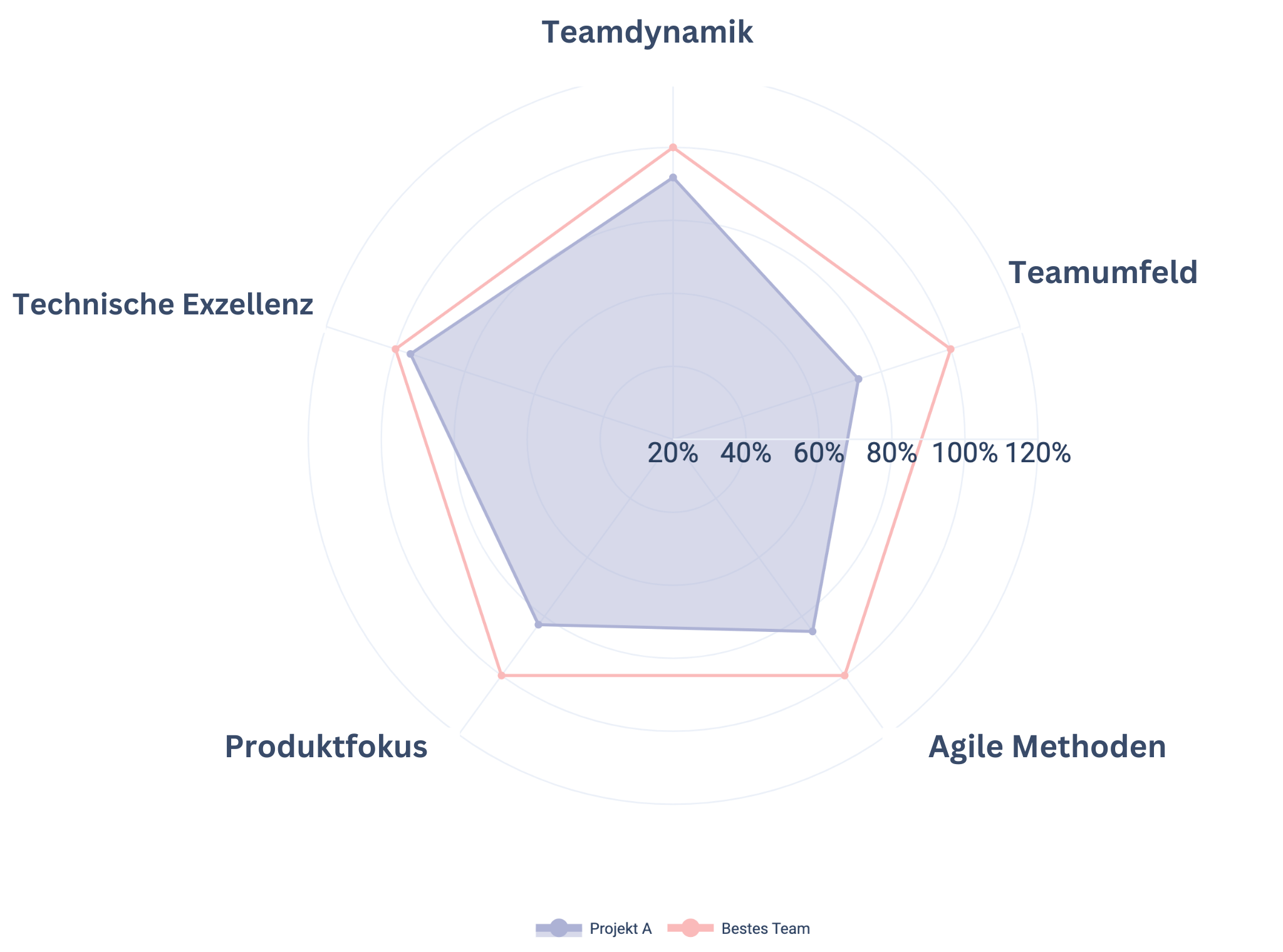 Teamperformance